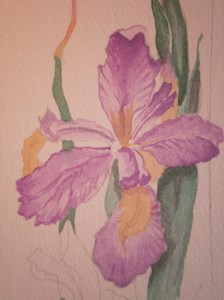 detail of iris watercolor